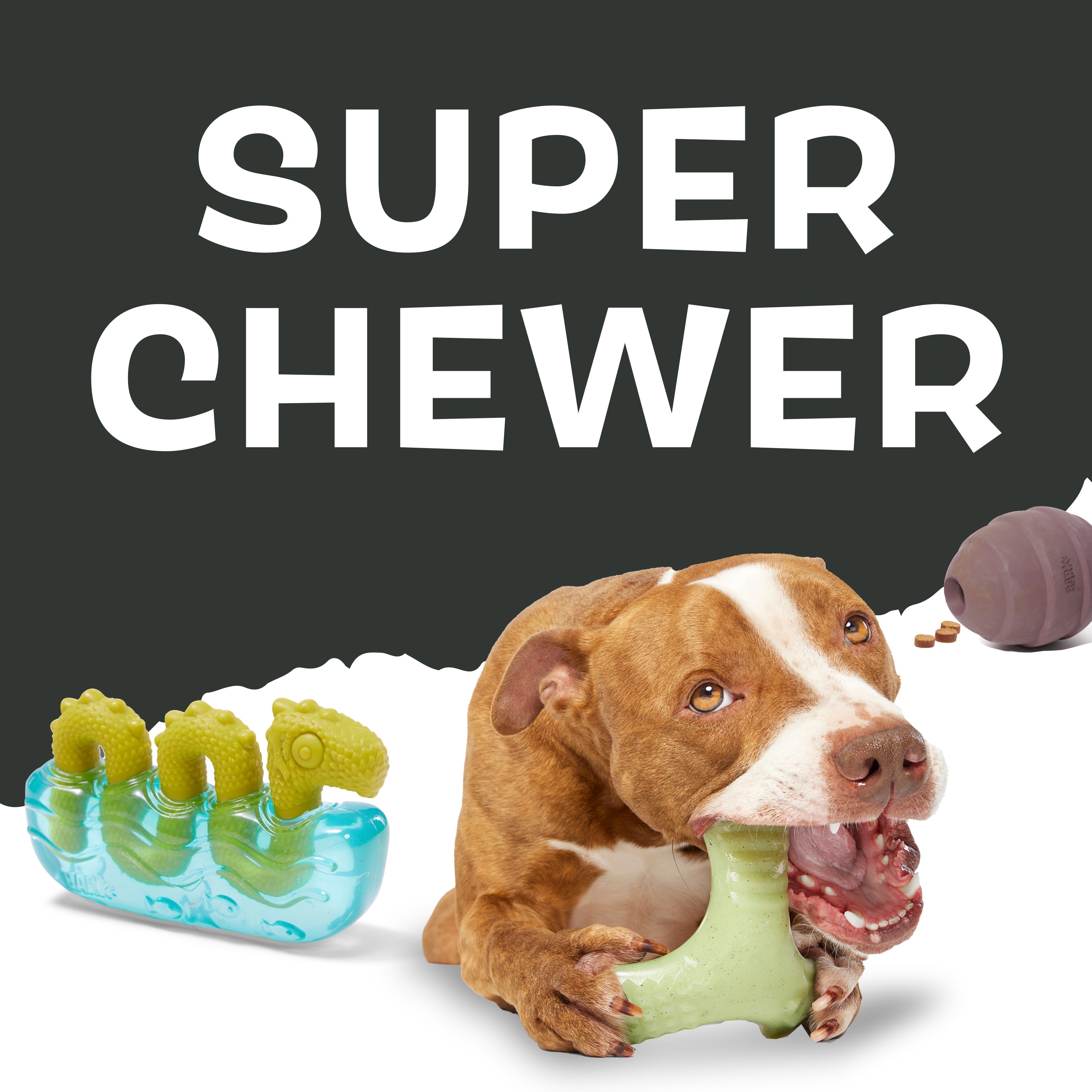Super Chewer
