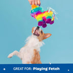 BARK Renta Pinata Plush and Squeak Chew Dog Toy