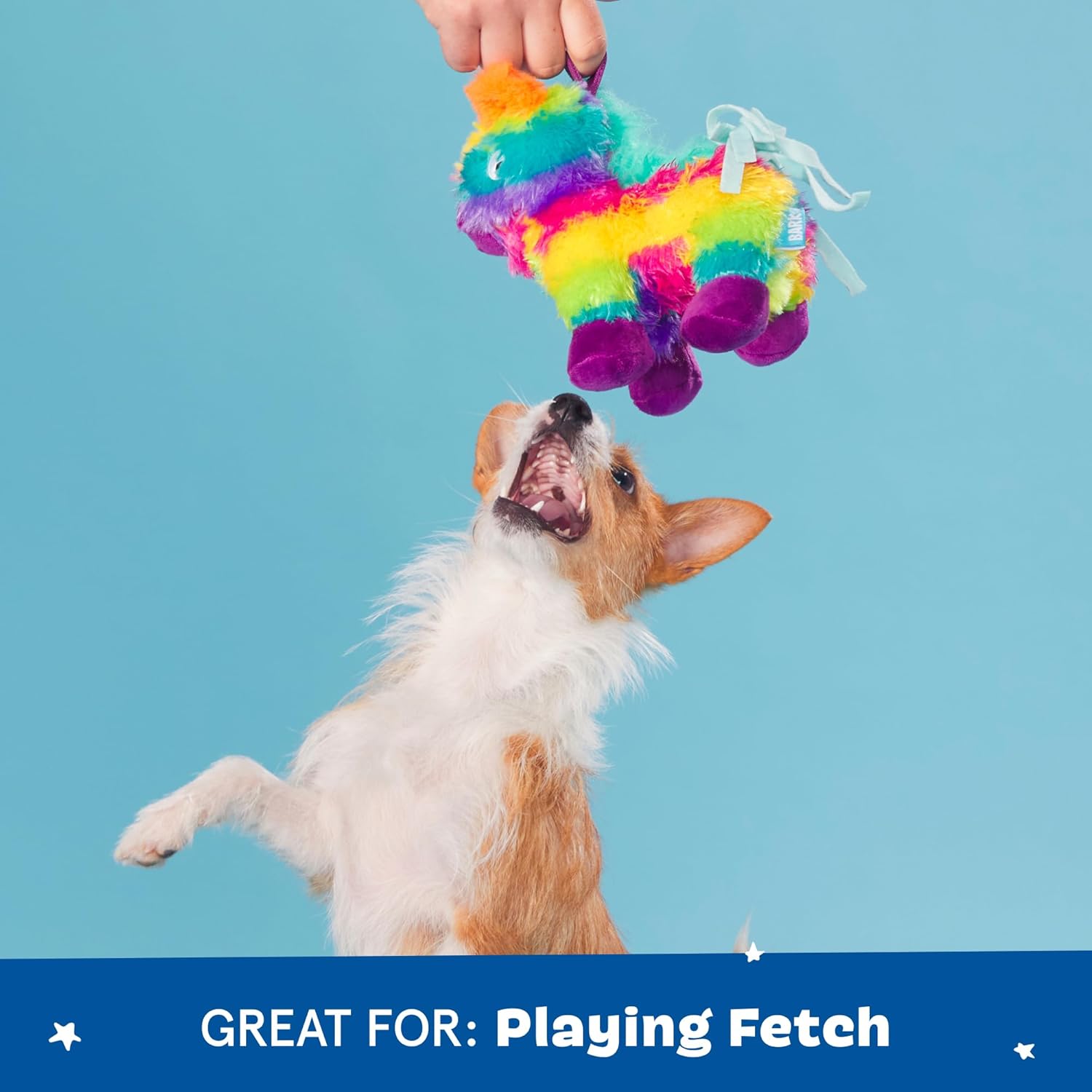 BARK Renta Pinata Plush and Squeak Chew Dog Toy