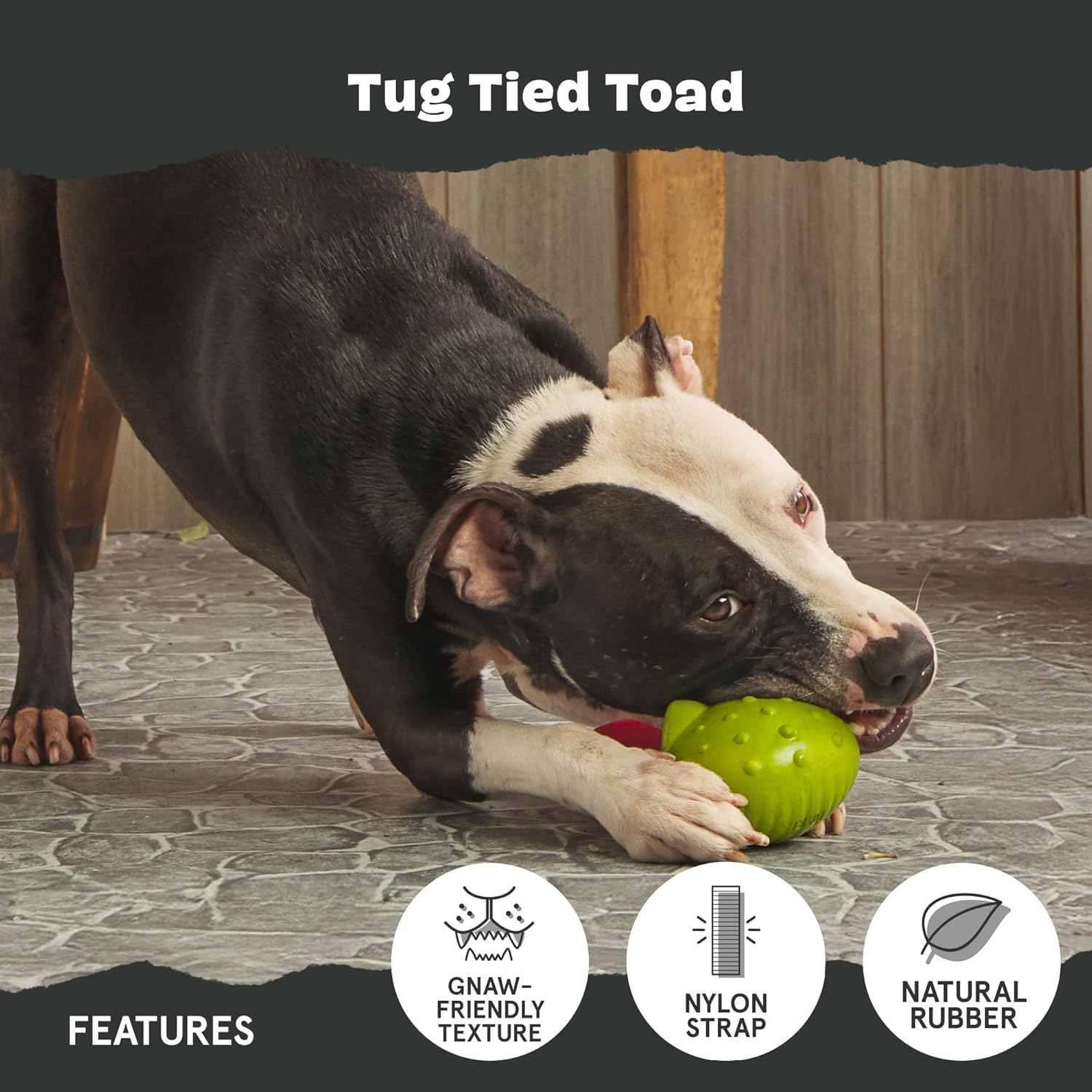 BARK Tug-Tied Toad Super Chewer Dog Toy