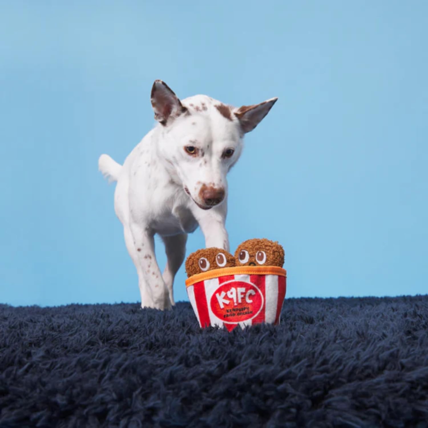BARK Kenpuppy Fried Chicken Dog Squeak Chew Toy