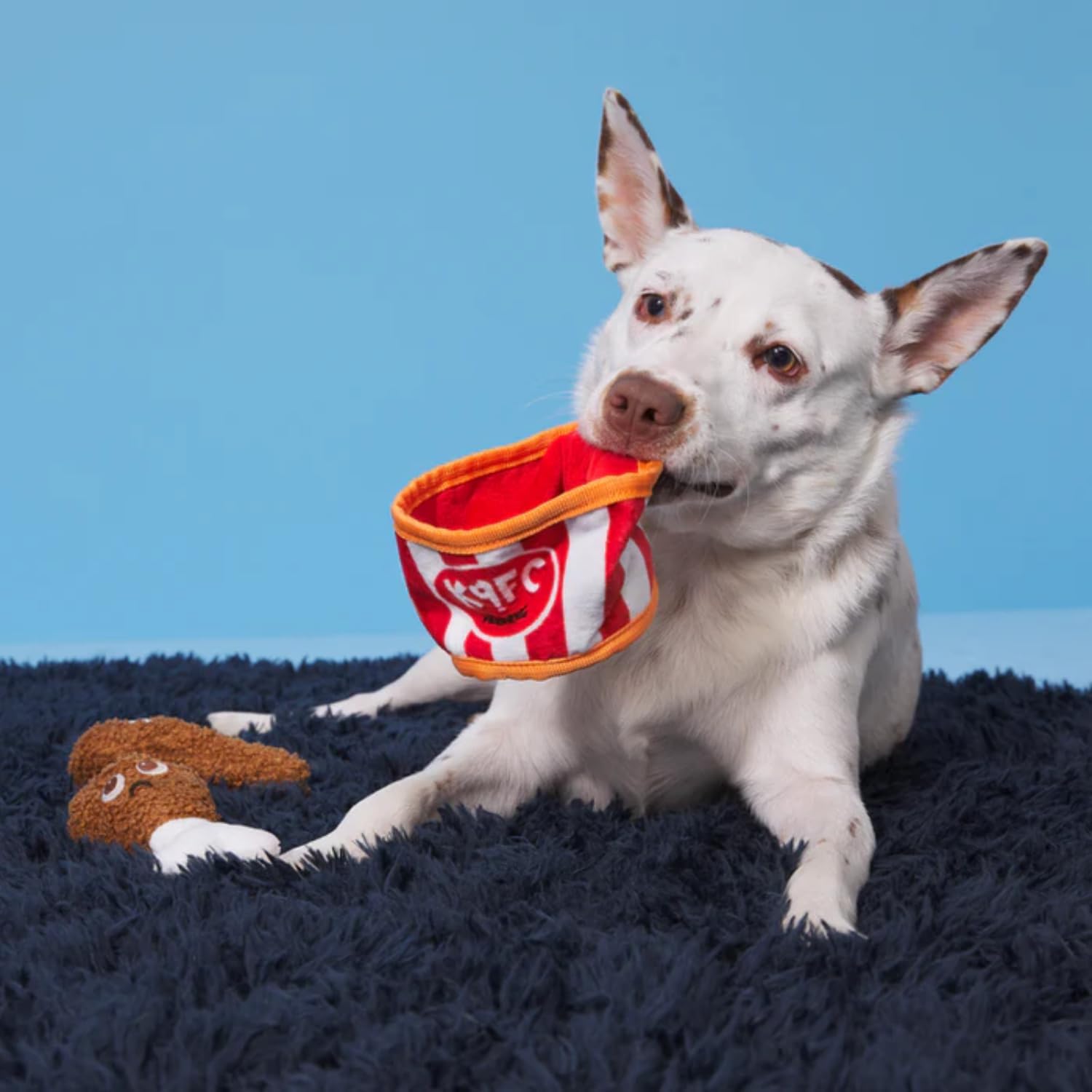 BARK Kenpuppy Fried Chicken Dog Squeak Chew Toy