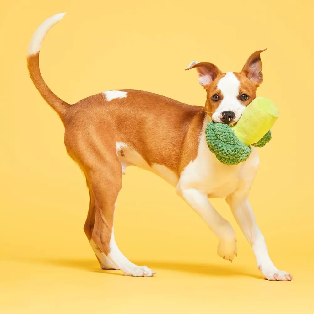 Bark Punk Brocc (BoBB) Dog Squeak Chew Toy