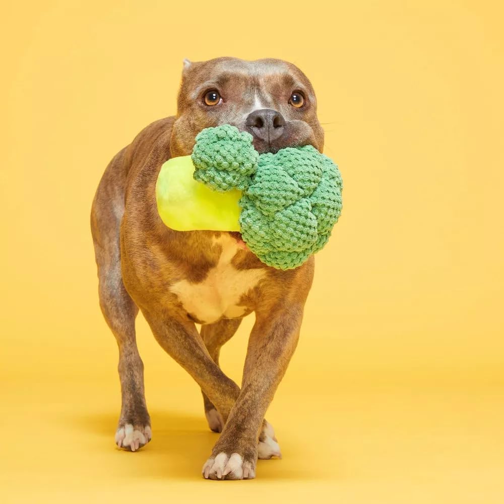 Bark Punk Brocc (BoBB) Dog Squeak Chew Toy