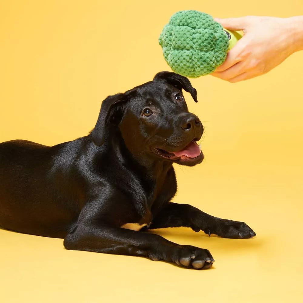 Bark Punk Brocc (BoBB) Dog Squeak Chew Toy