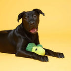 Bark Punk Brocc (BoBB) Dog Squeak Chew Toy