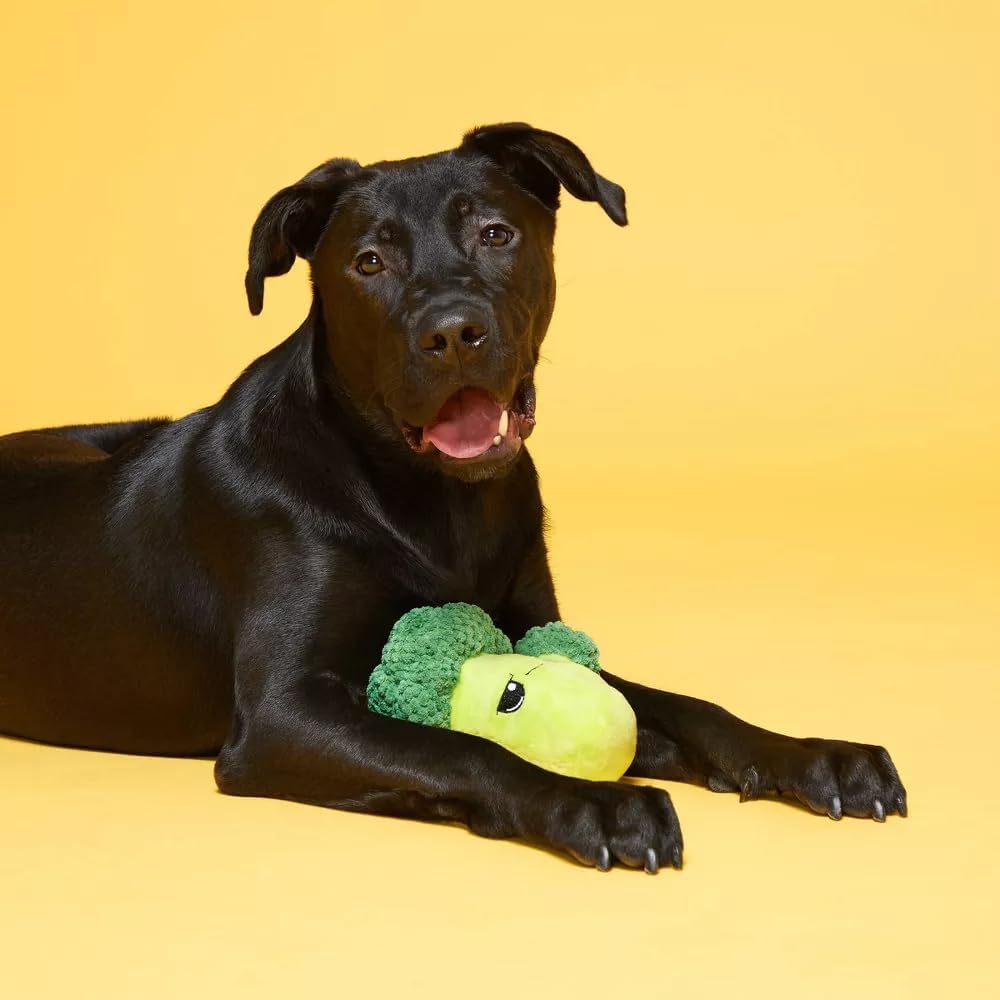 Bark Punk Brocc (BoBB) Dog Squeak Chew Toy