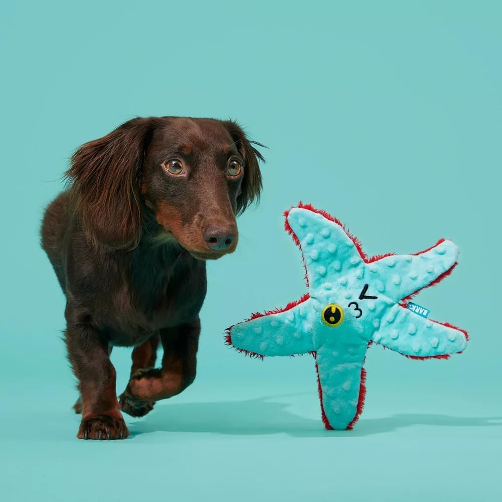 Carl Starfish Dog Squeak Chew Toy