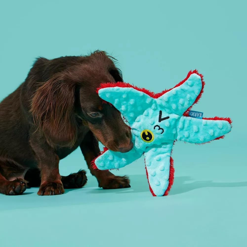 Carl Starfish Dog Squeak Chew Toy