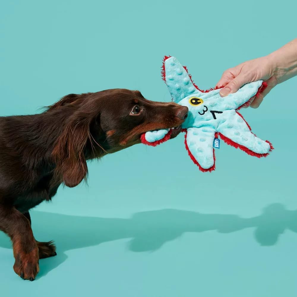 Carl Starfish Dog Squeak Chew Toy