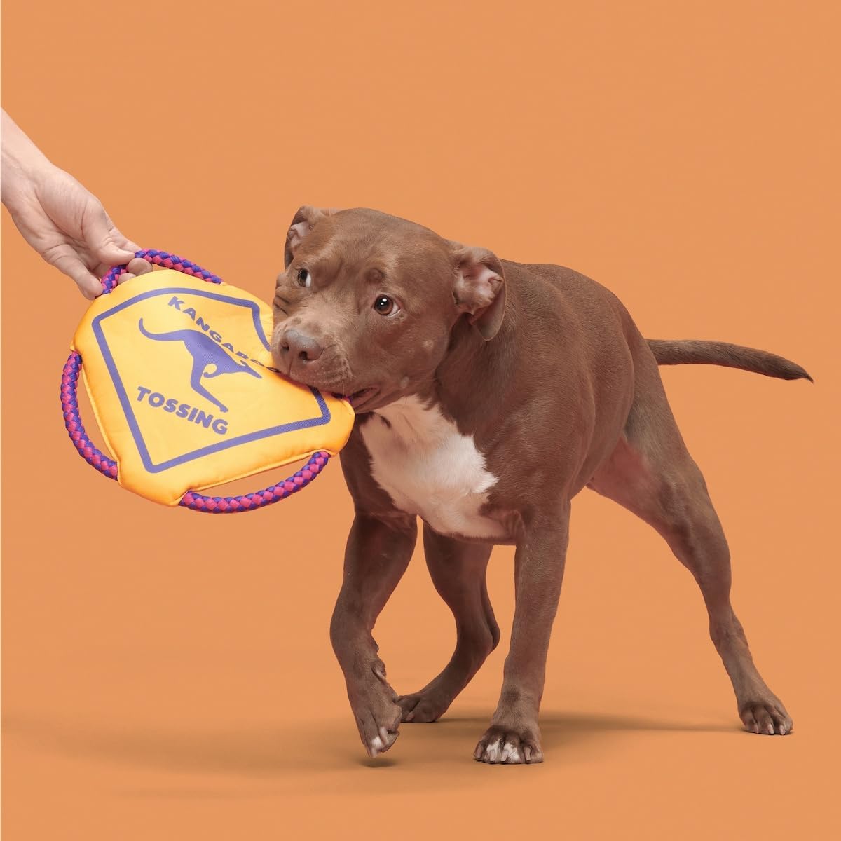 BARK Kangaroo Tossing Dog Toy