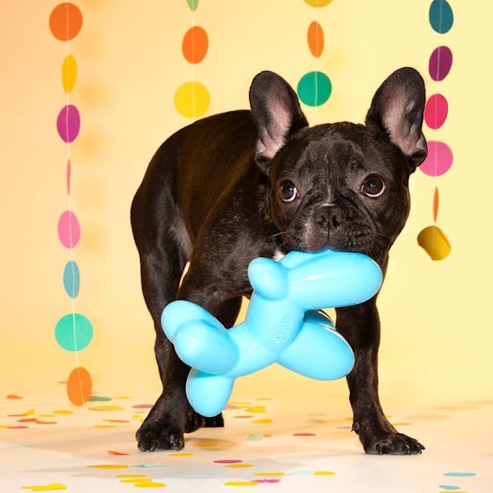 BARK Bob the Balloon Durable Super Chewer Dog Toy
