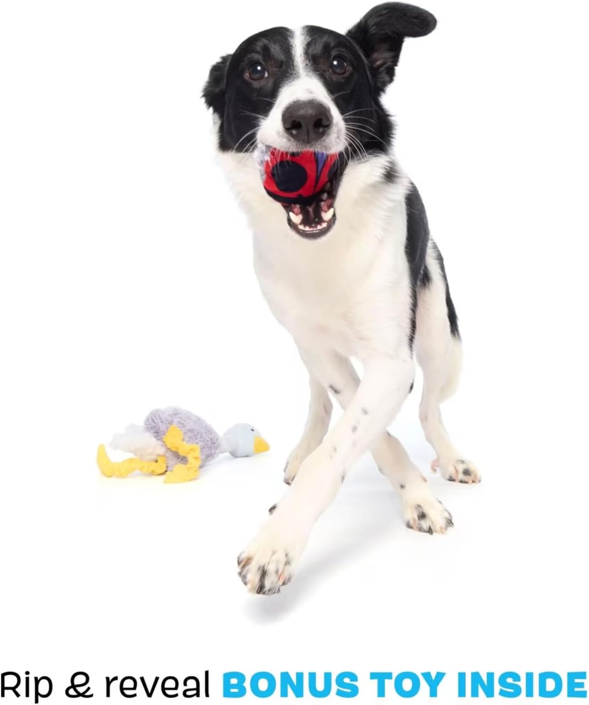 BARK Shiba Emu Dog Toy