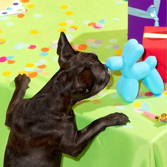BARK Bob the Balloon Durable Super Chewer Dog Toy