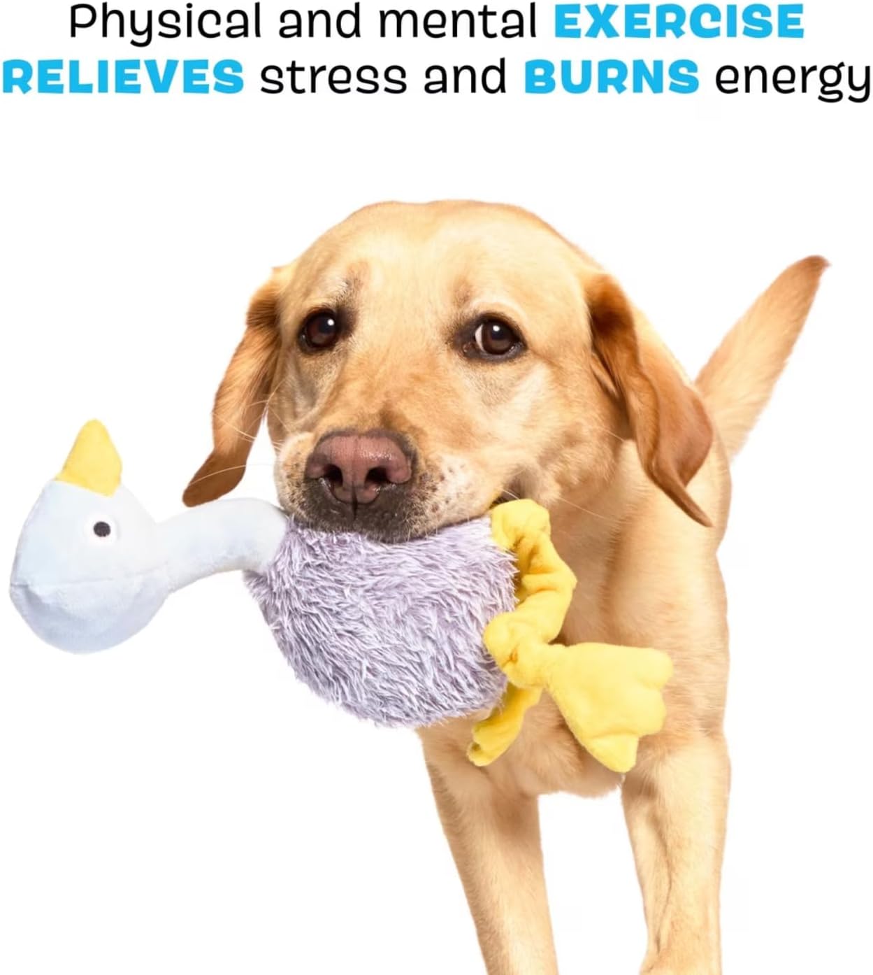 BARK Shiba Emu Dog Toy