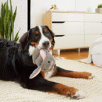 BARK Itty & Bitty the Bunny Squeaky Slippers