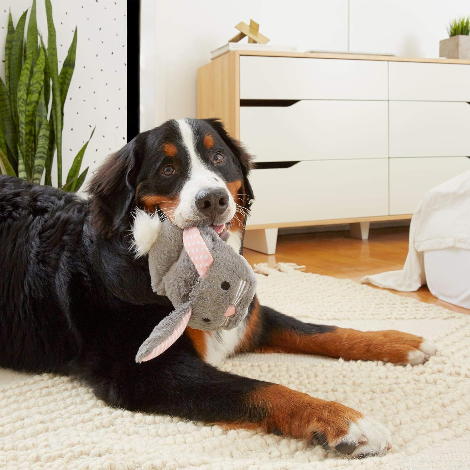 BARK Itty & Bitty the Bunny Squeaky Slippers
