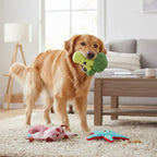 Sheila Sugar Glidah, Punk Brocc and Carl Starfish Dog Toys Bundle