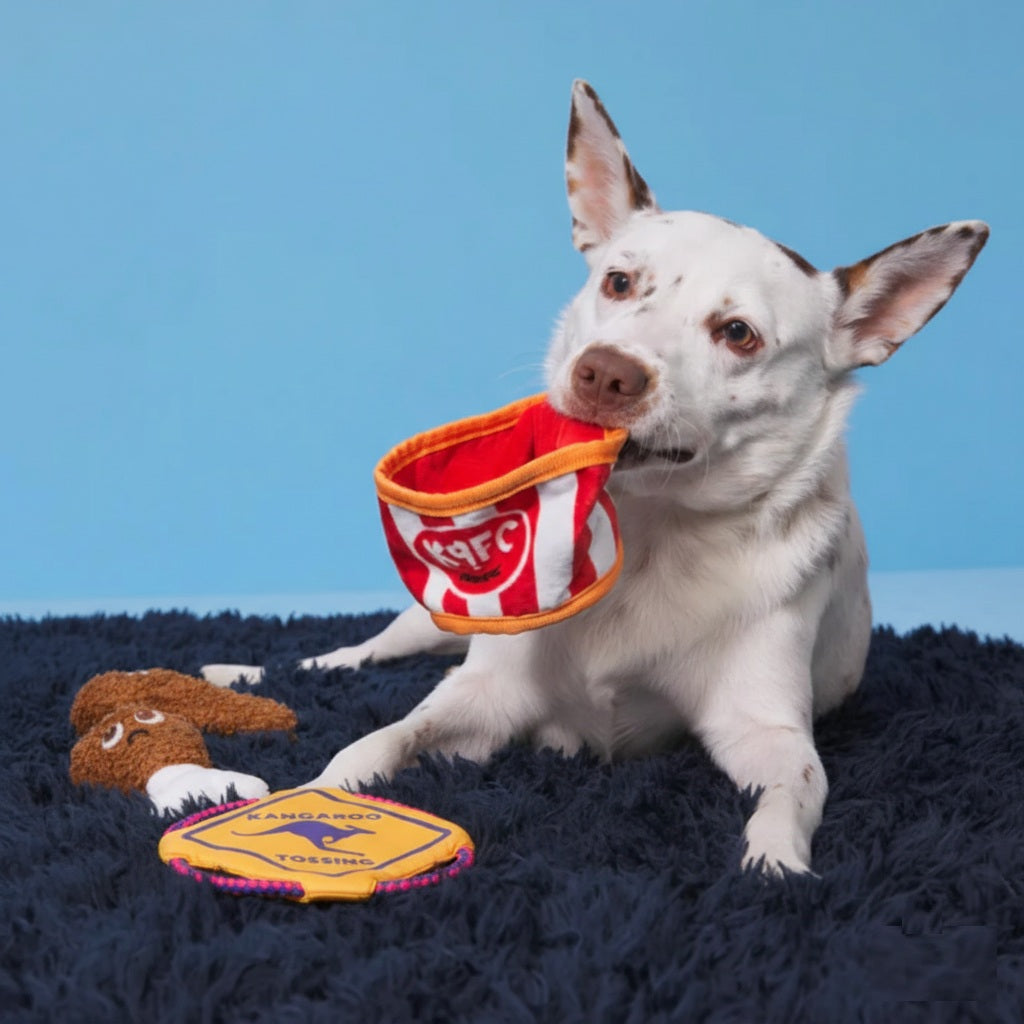 Kangaroo Tossing and Kenpuppy Fried Chicken Plush Dog Squeak Toy Bundle