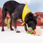 Edna Echidna and Consuela the Cactus Plush Dog Toy Bundle