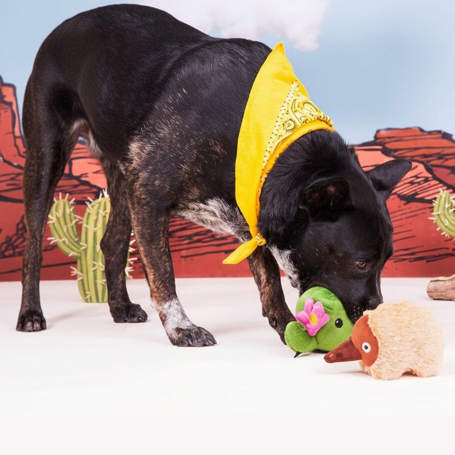Edna Echidna and Consuela the Cactus Plush Dog Toy Bundle