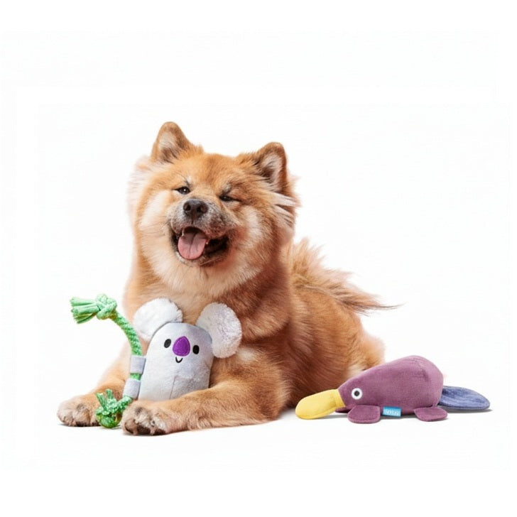 Drongo Platypus & Koa Koala Plush Dog Toys Bundle