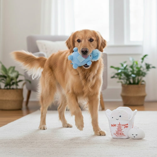 Andi's Famous Dumplings & Kouddly Koala Dog Toy Bundle